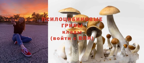твердый Арсеньев