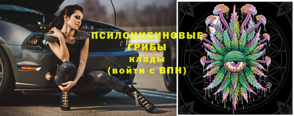 твердый Арсеньев