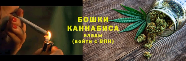 твердый Арсеньев