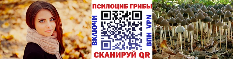 купить  цена  мега tor  Галлюциногенные грибы Psilocybine cubensis  площадка официальный сайт  Белоярский 